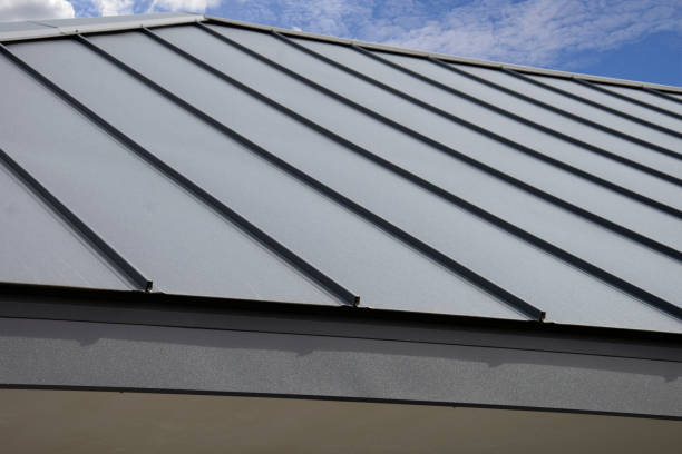 Best Roof Leak Repair  in Toro Nyon, CA