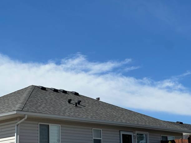 Best Chimney Flashing Repair  in Toro Nyon, CA